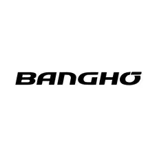 Bagho